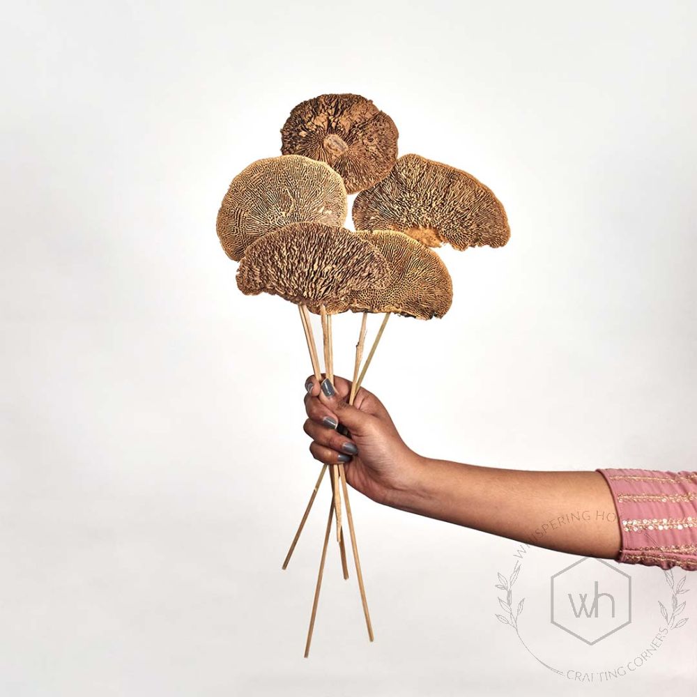 mushroom natual