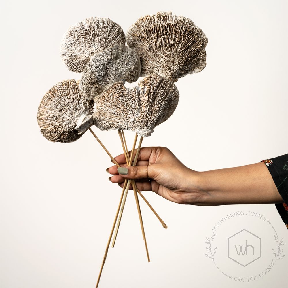 Dried Mushroom Magical White Set of 8Hand Image