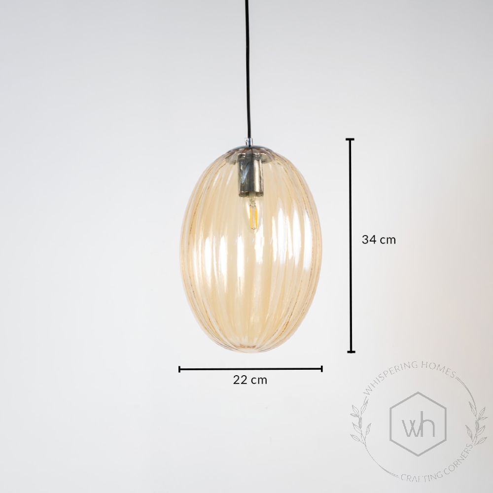 Glass Pendant Light - Oval & Amber Dimensions