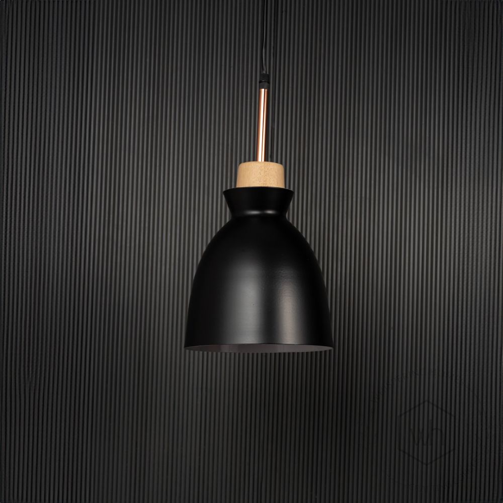 Horn Pendant Light - Black Light Off Black Background