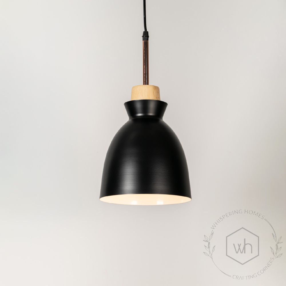 Horn Pendant Light - Black Light On White Background