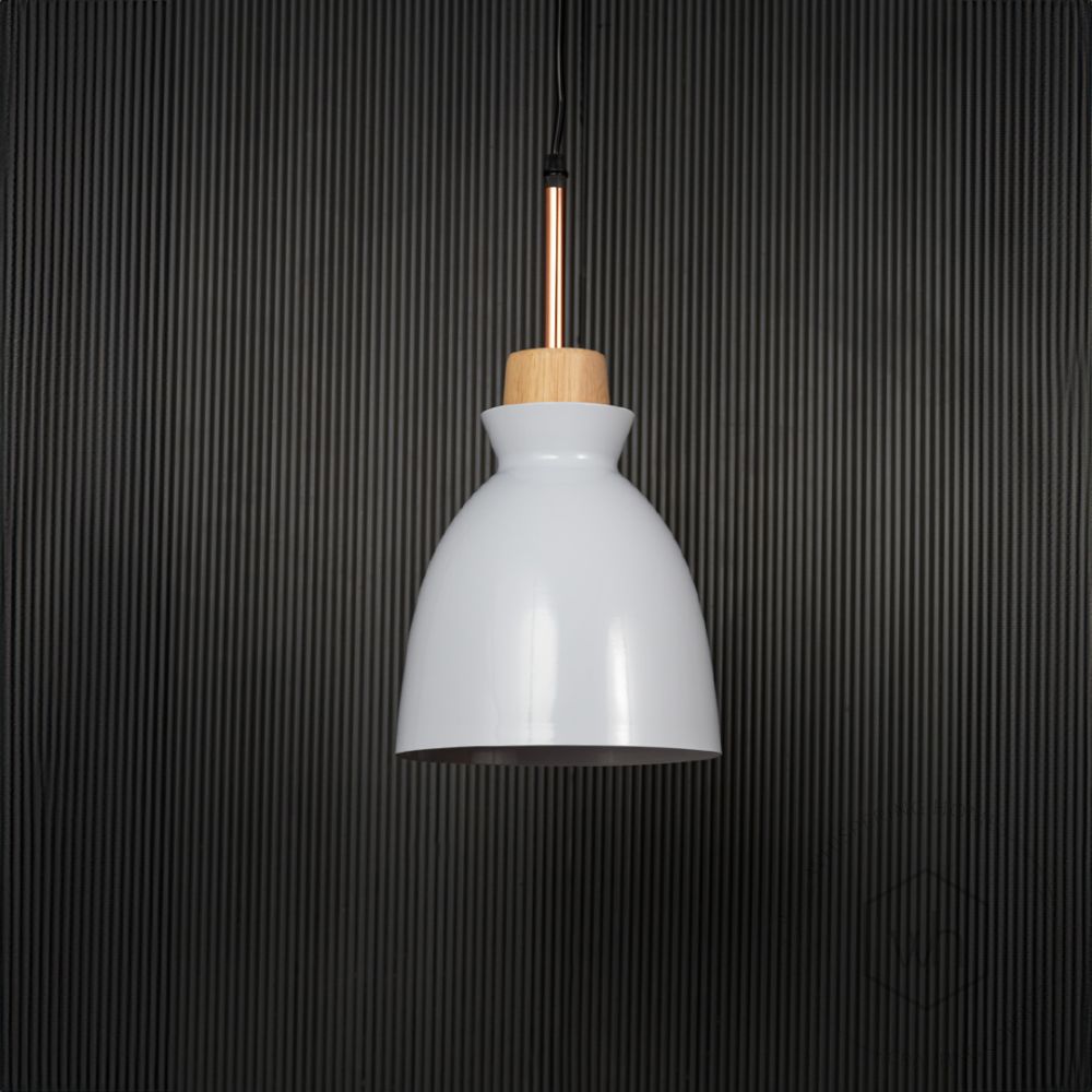 Horn Pendant Light- White Light Off Black Background