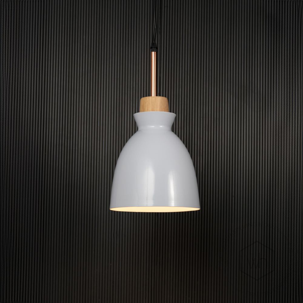 Horn Pendant Light- White Light On Black Background