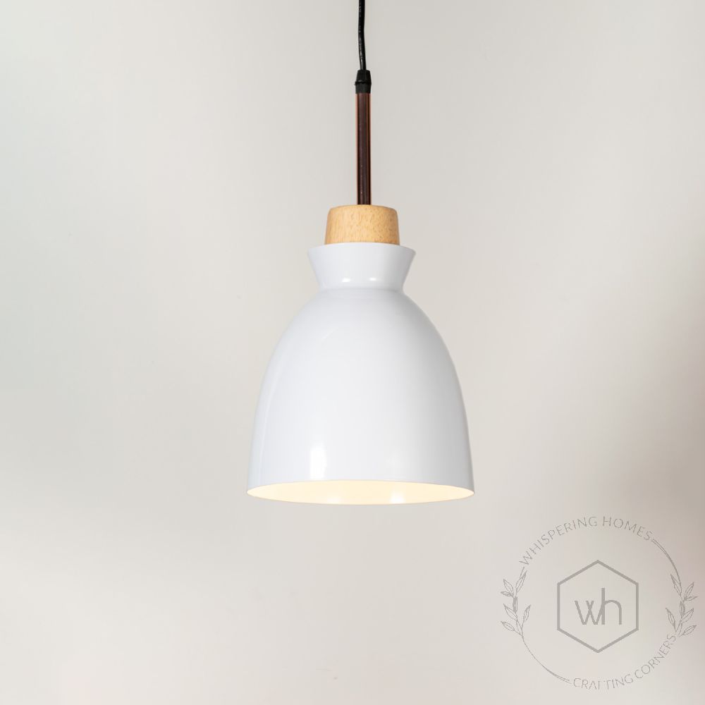 Horn Pendant Light- White Light On White Background