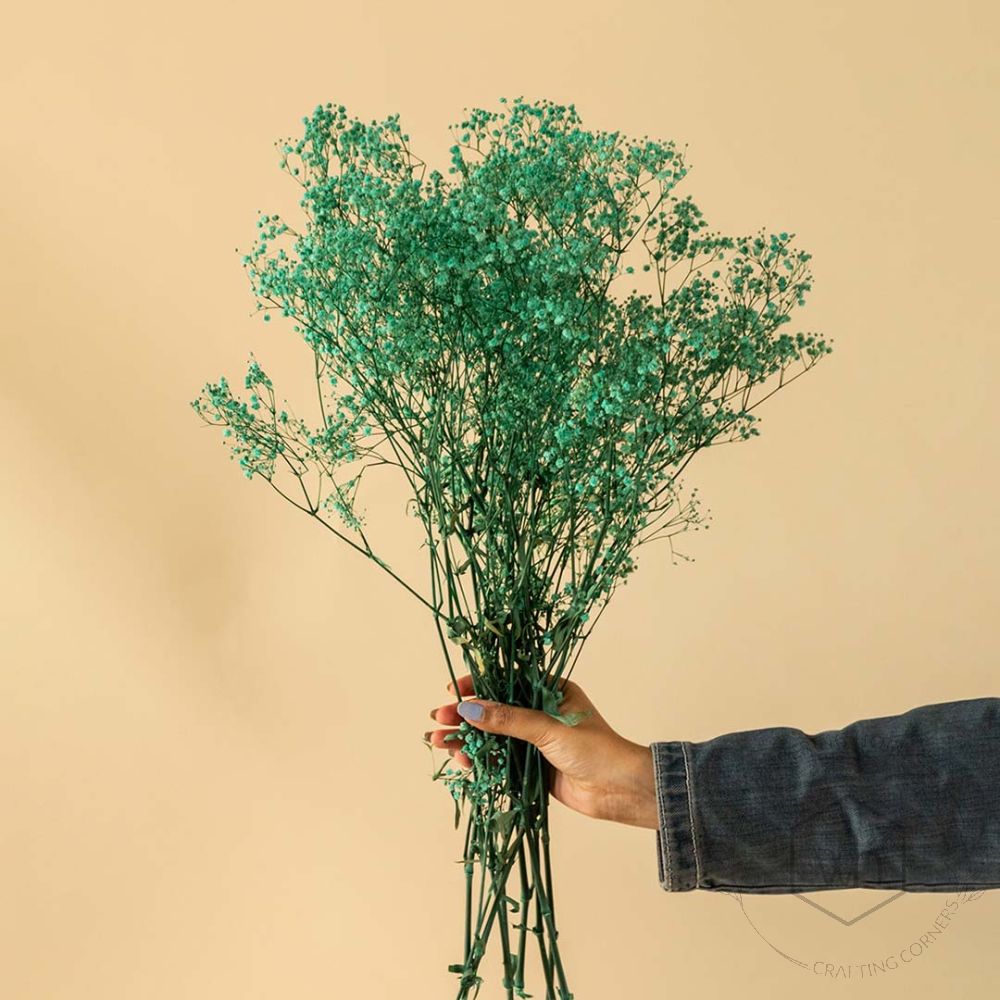 Preserved Babysbreath Dried Flower - Tiffany BlueHand Image