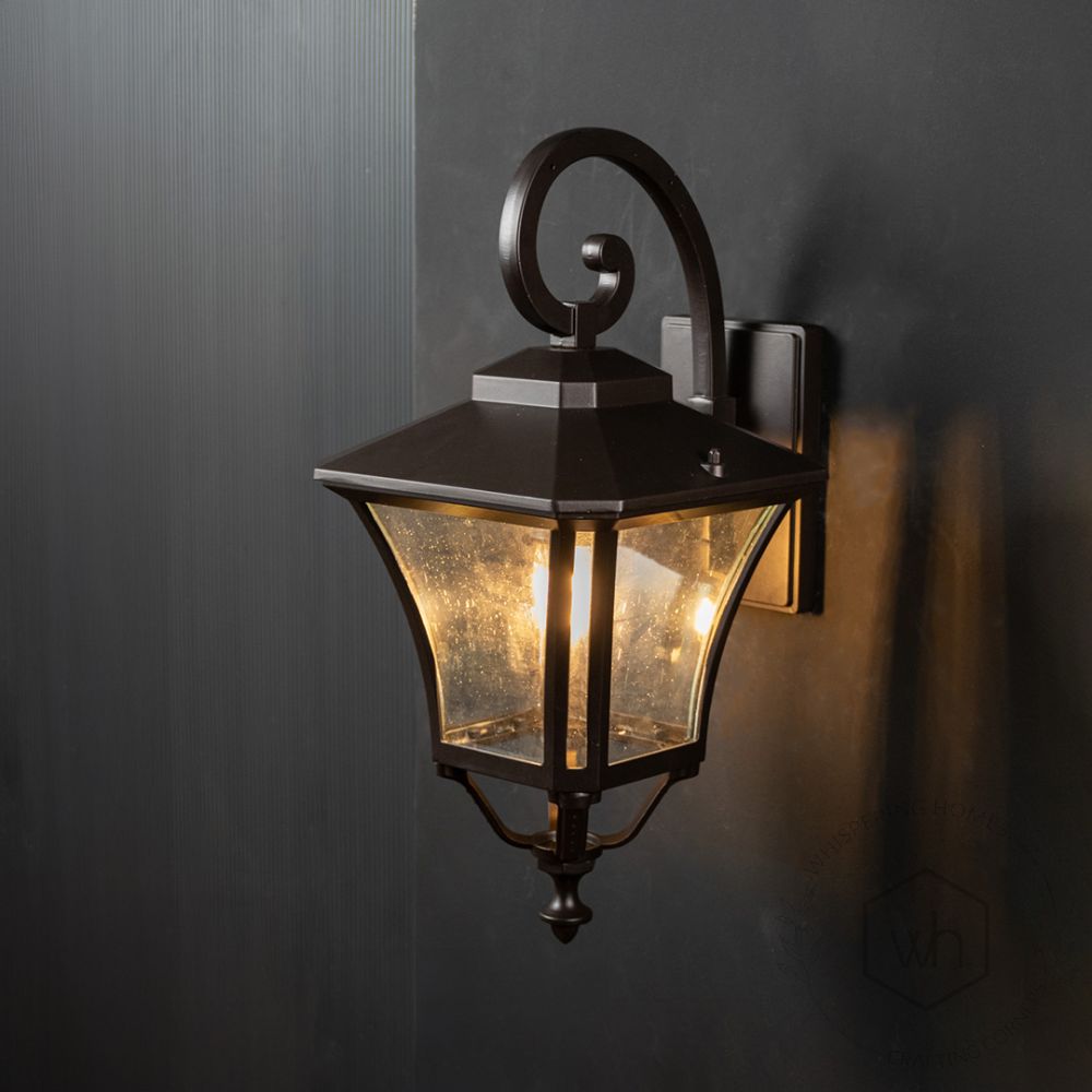 Mandible Outdoor Wall Light - Dark Brown Light On Black Background