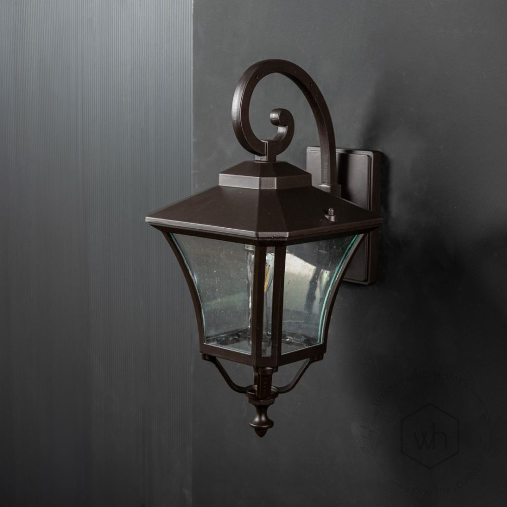 Mandible Outdoor Wall Light - Dark Brown Light Off Black Background