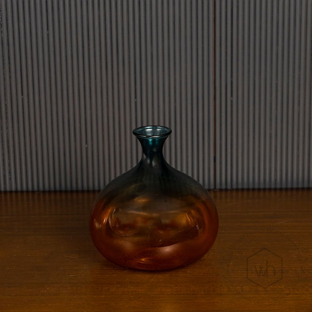 Double Shade Globe Glass Vase Black Background