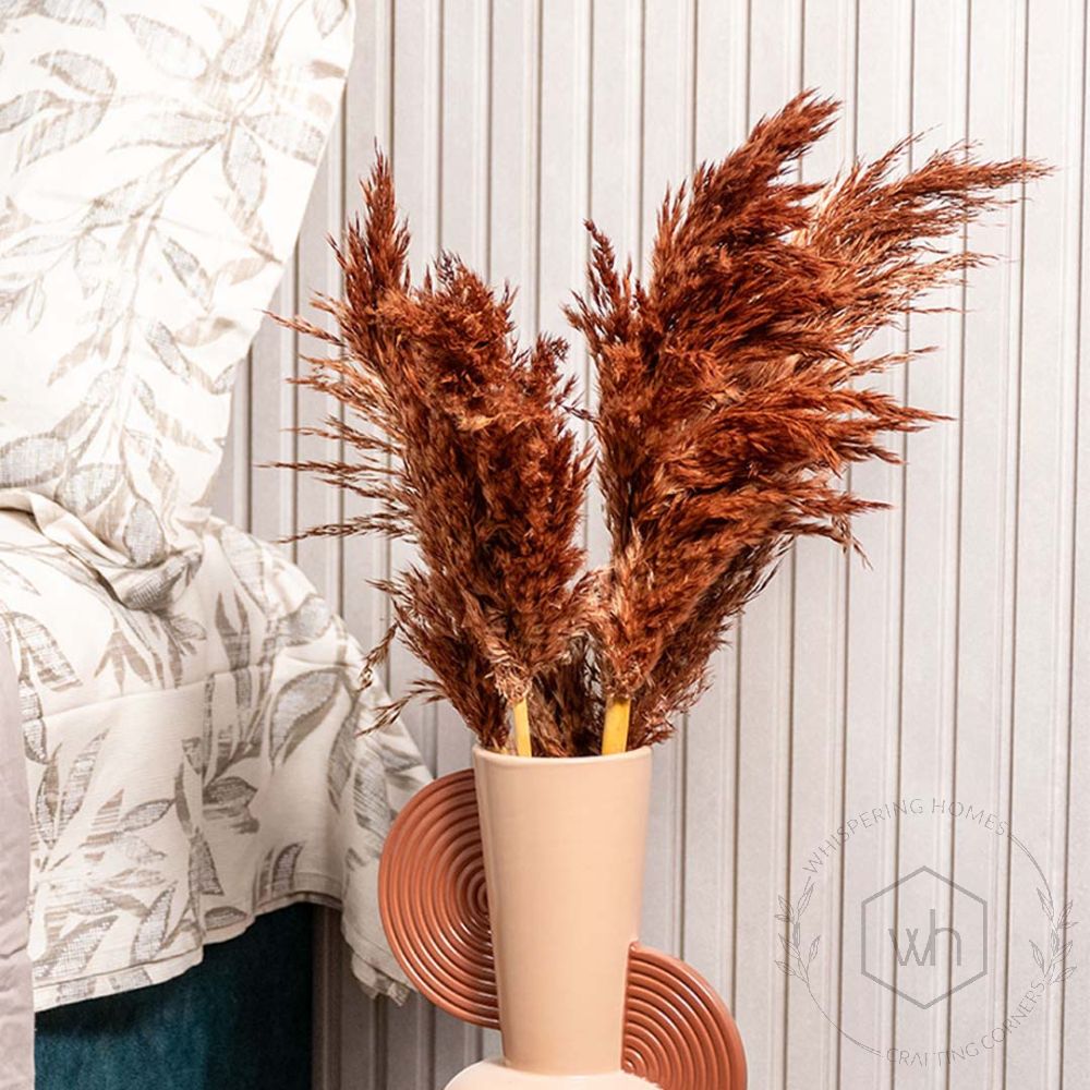 Dried Pampas Grass - Brown Set of 5 Closeup