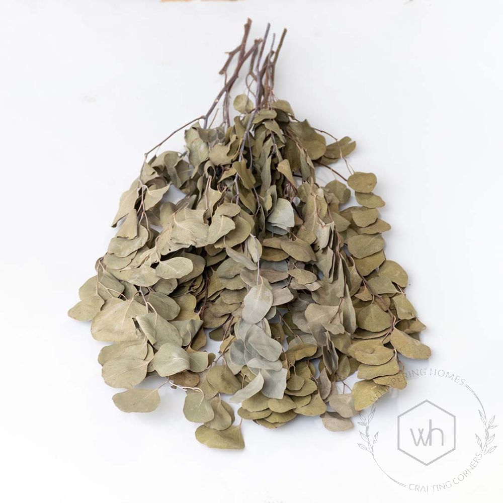 Dried Apple Leaves Green