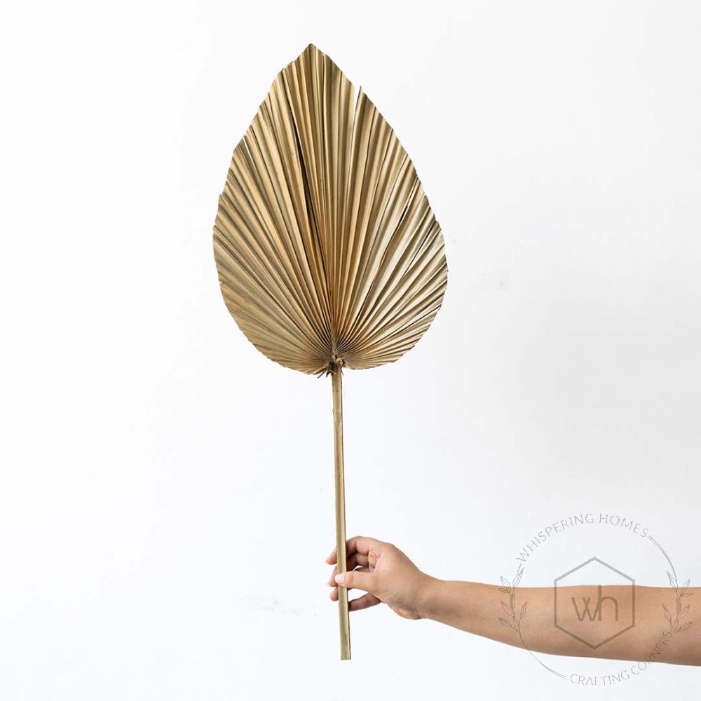 Dried Hand Fan Palm Leaves Yellow