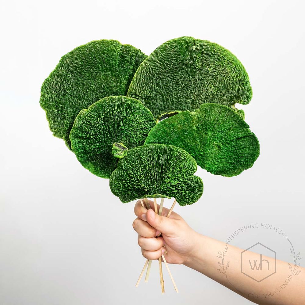 Dried Mushroom Green Set of 8Hand Image