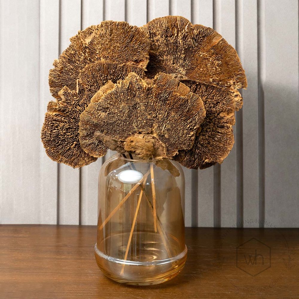 Dried Mushroom Brown Set of 8