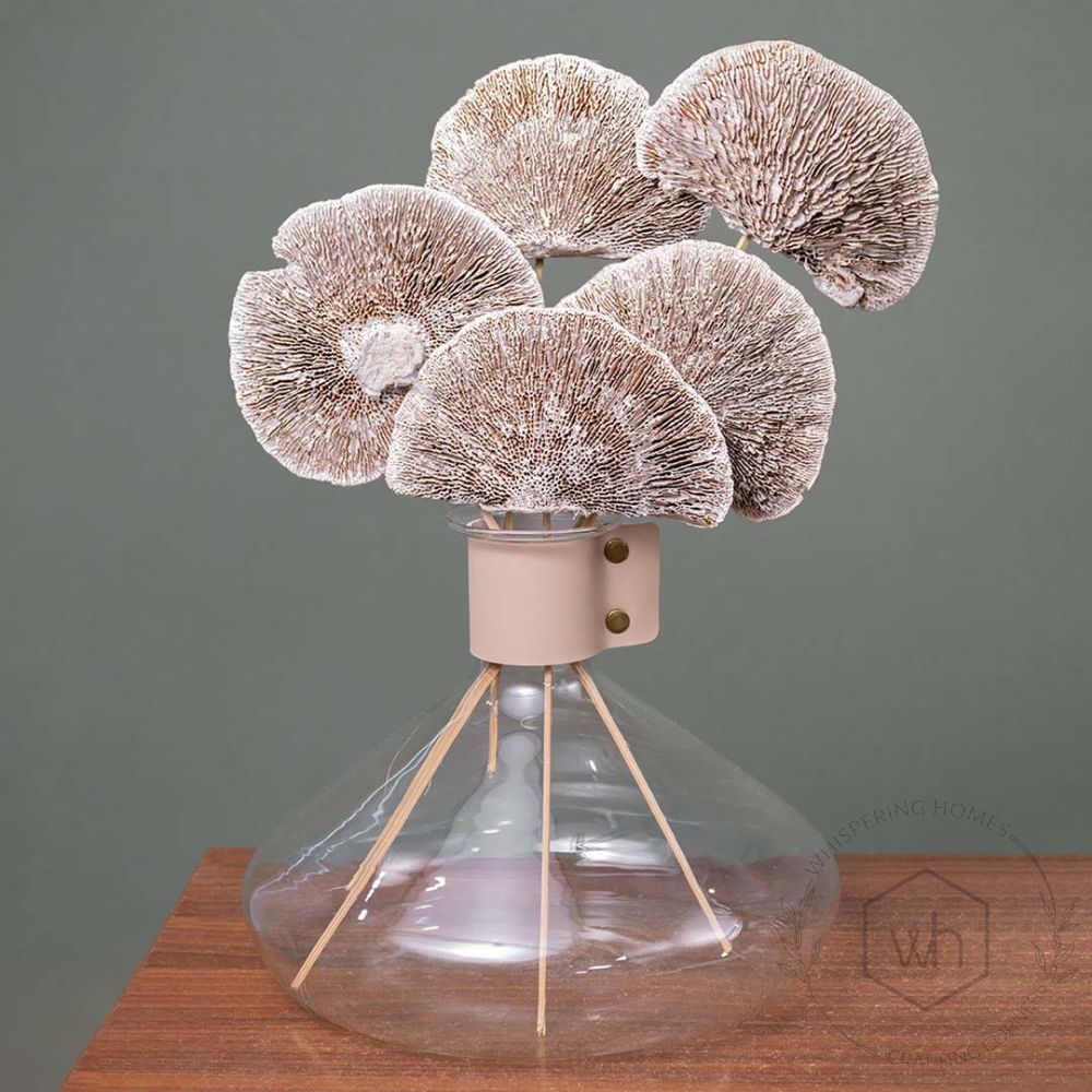 Dried Mushroom Magical White Set of 8 Lifestyle