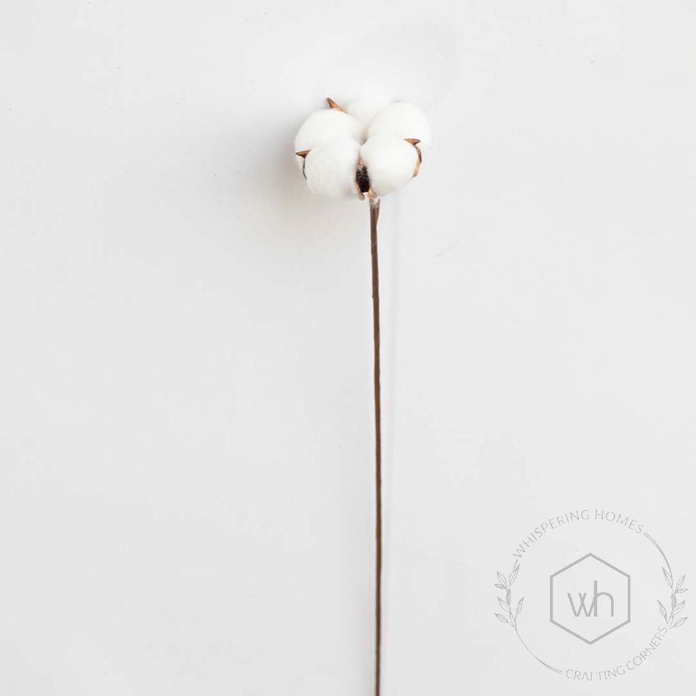 Natural Dried Cotton Stems
