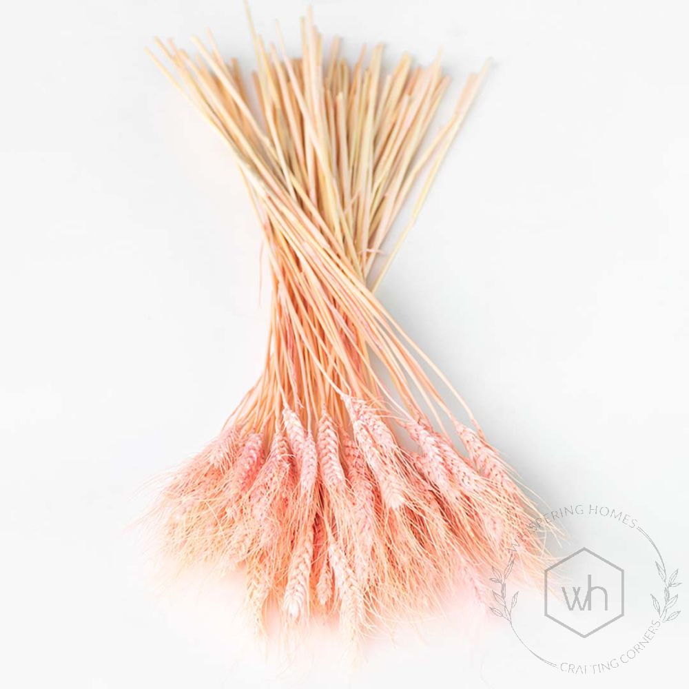 Natural Wheat Grass Pink
