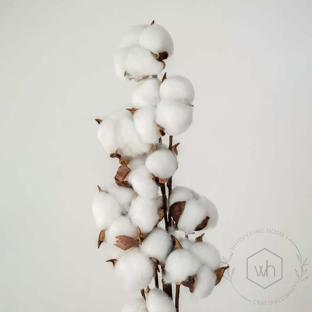 Soft Cotton Balls - White Closeup