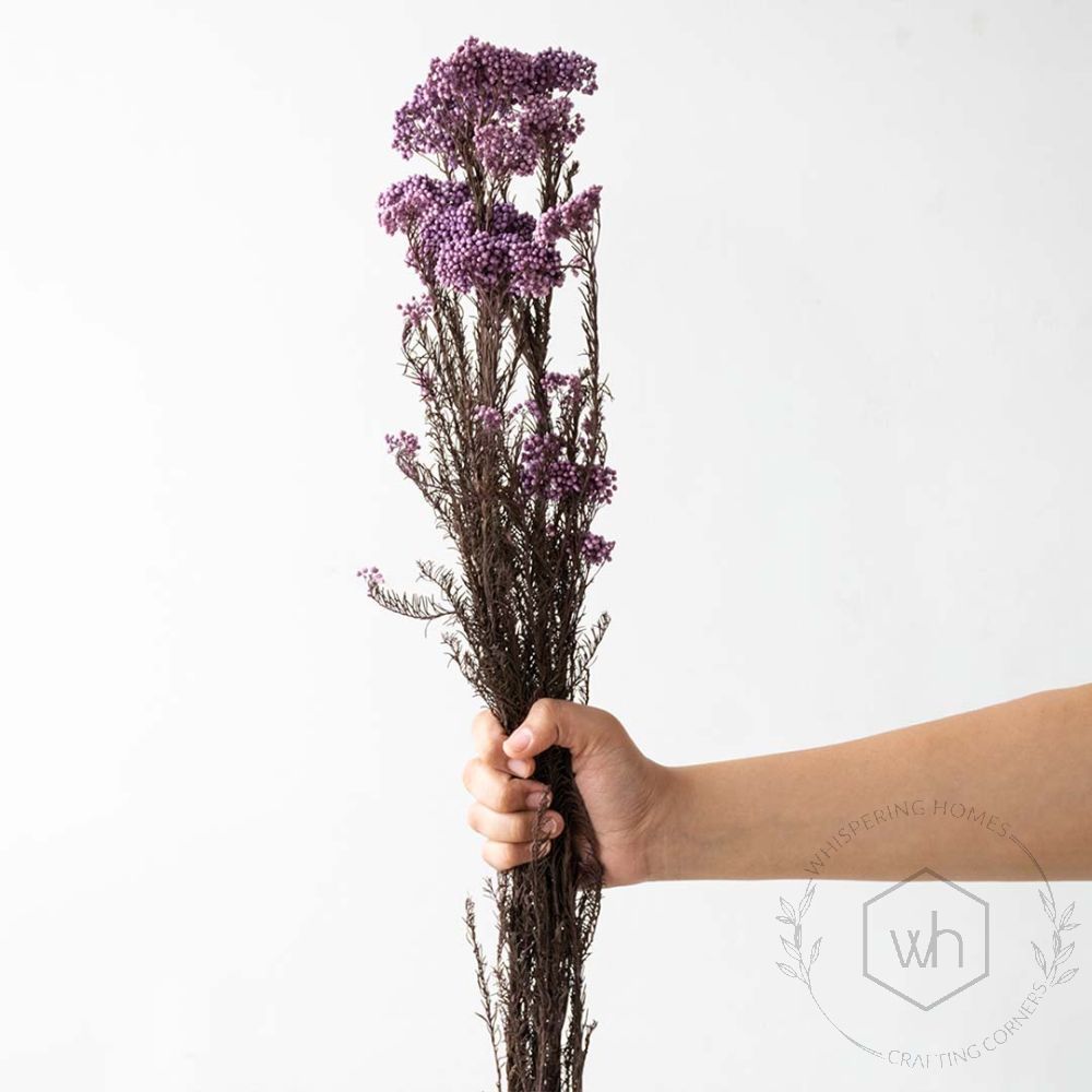 Preserved Rice Flower Purple