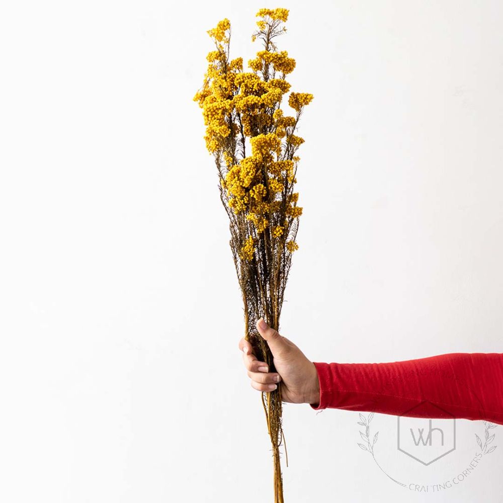 Preserved Rice Flower - YellowHand Image