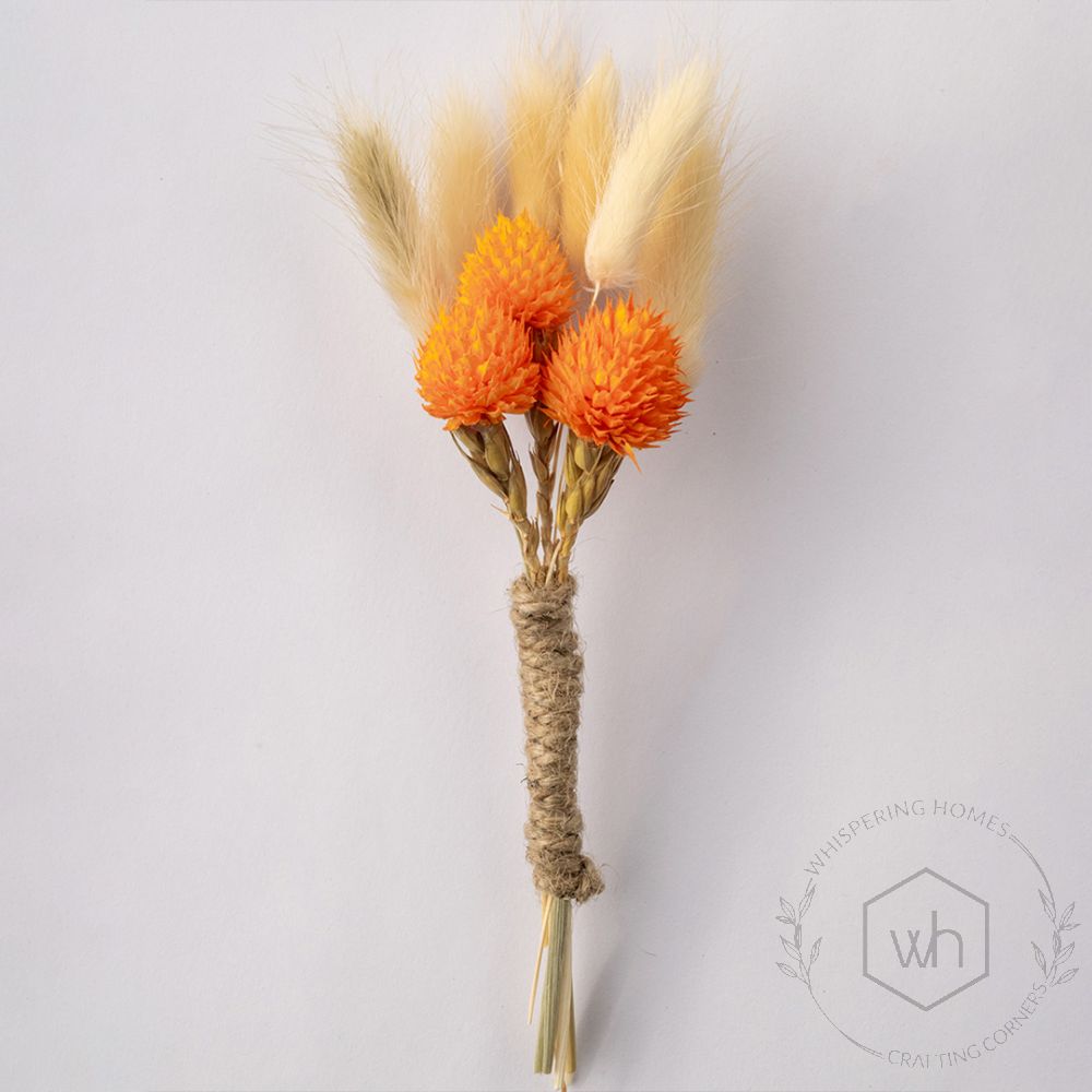 Roseus Boutonniere White Background