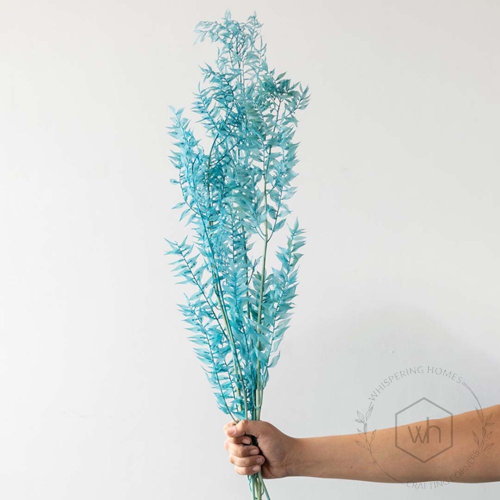 Dried Ruscus Pampas Grass - BlueHand Image