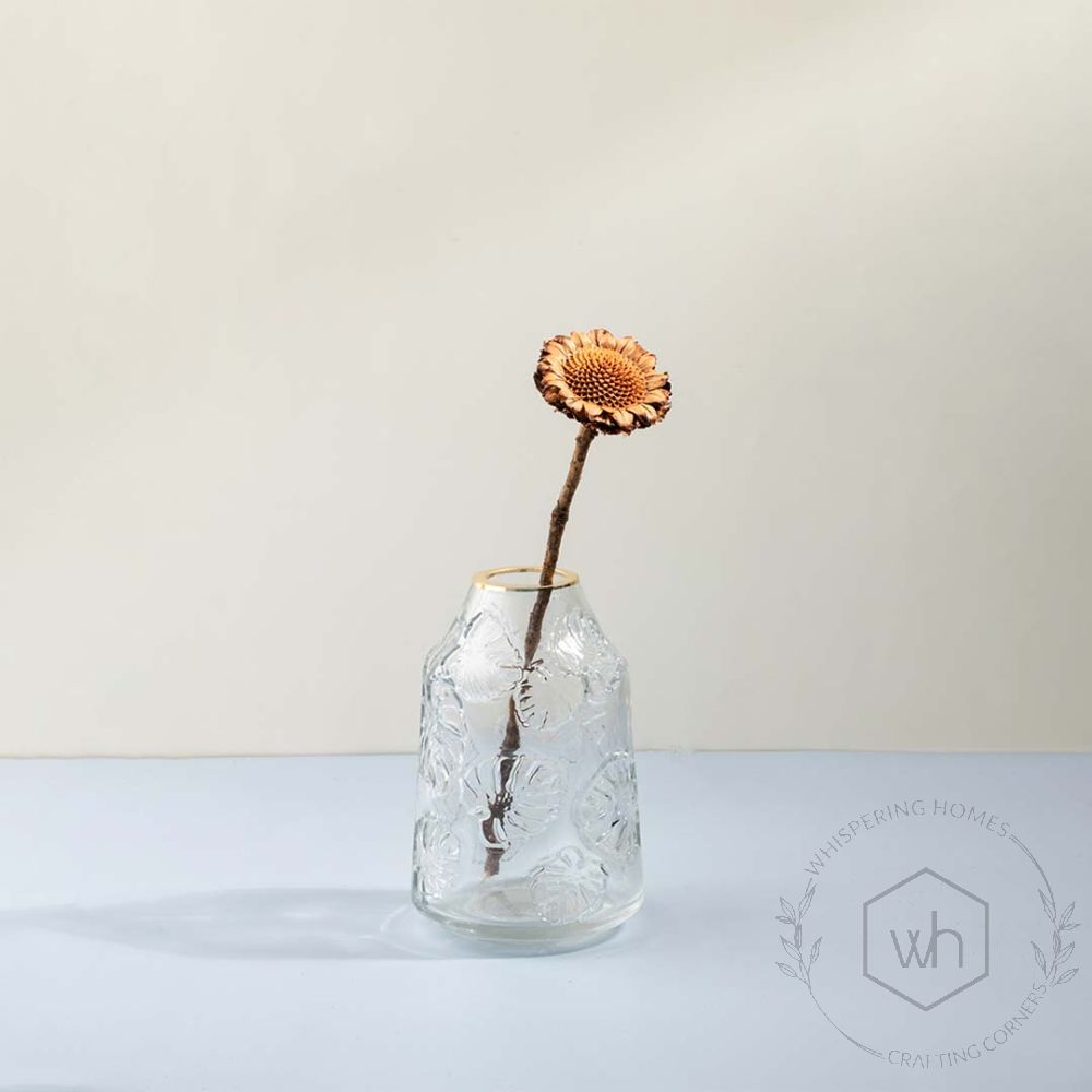 Selia Modern Crystal Clear Glass Vase - Small