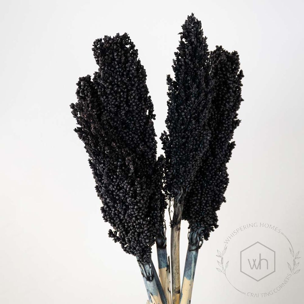 Sorghum Dried Grass Black