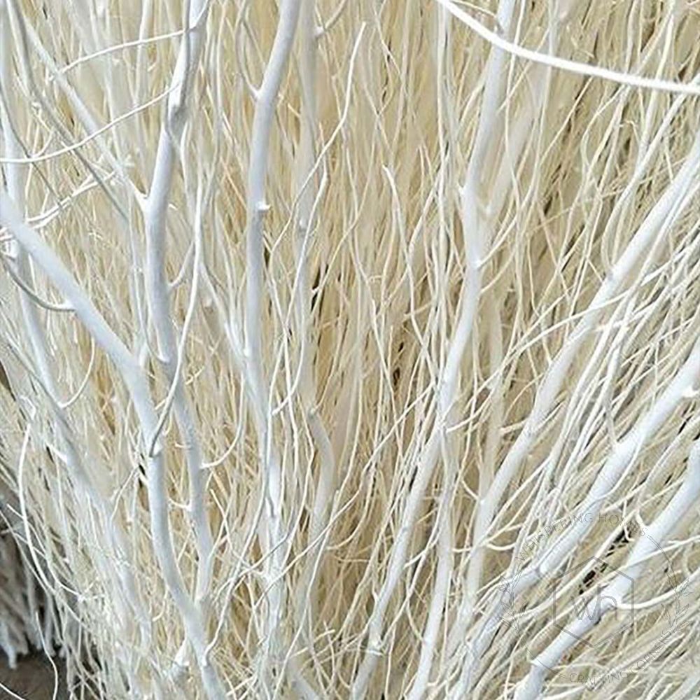 Symbols Of Peace White Dried Willow Bunch Closeup