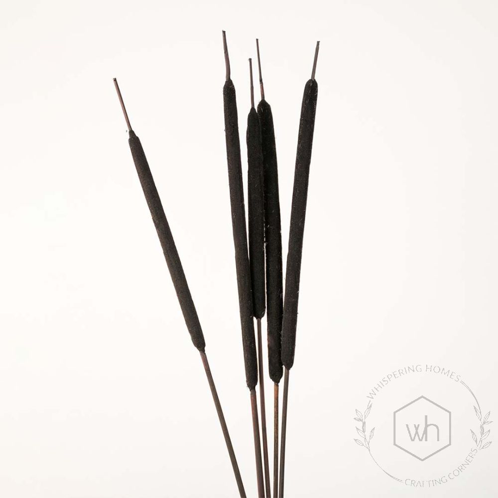 Typha Grass Black Set of 5 White Background