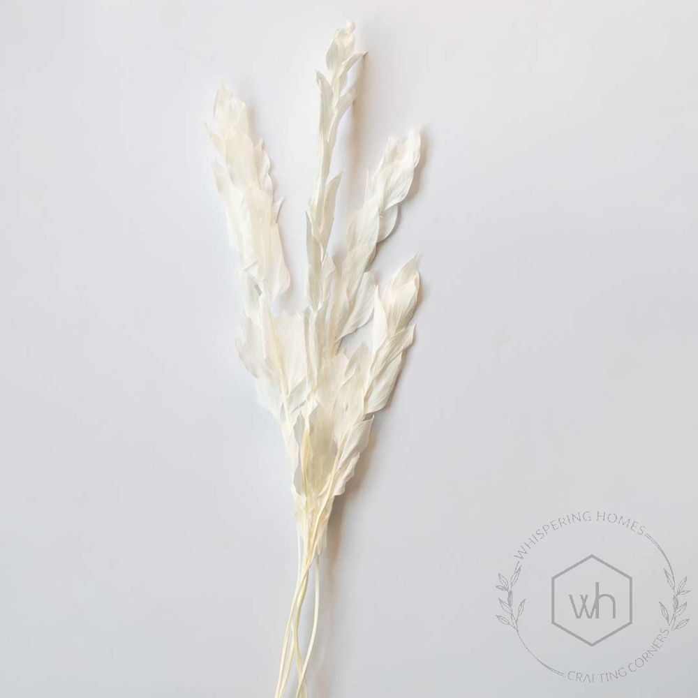 Natural Dried White Leaves