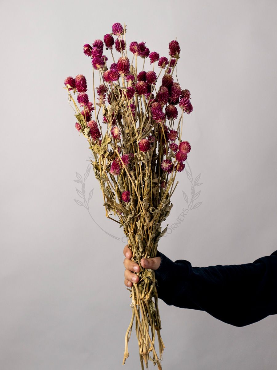 Order Organic Dried Rose Petals Online India