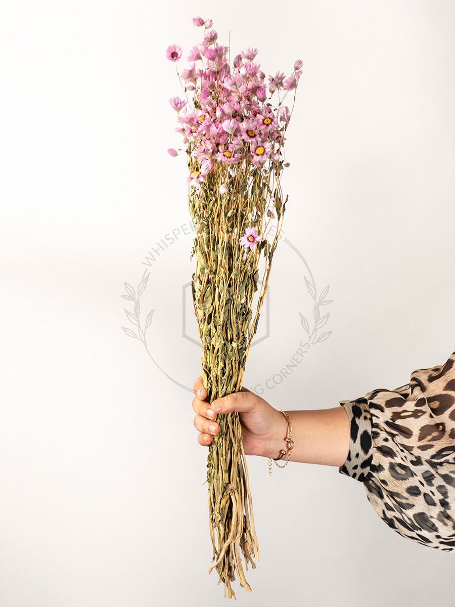 Pink Dried Flowers & Pampas Grasses