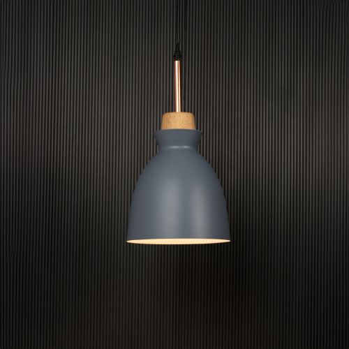 Horn Pendant Light- Grey Light On Black Background