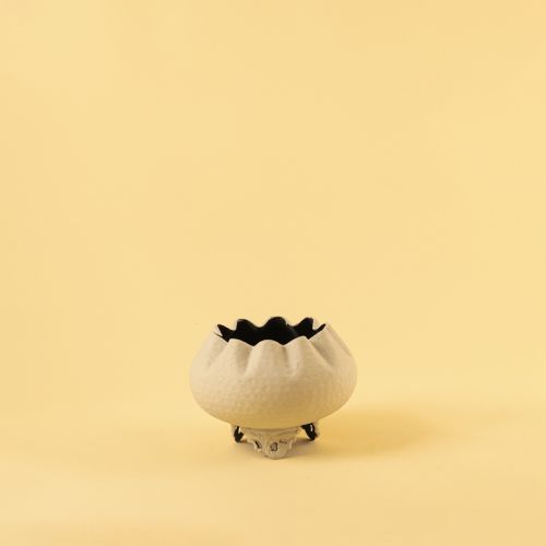 Gul Vase - Grey Small White Background