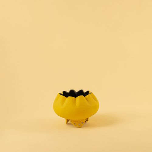 Gul Vase - Yellow Small White Background