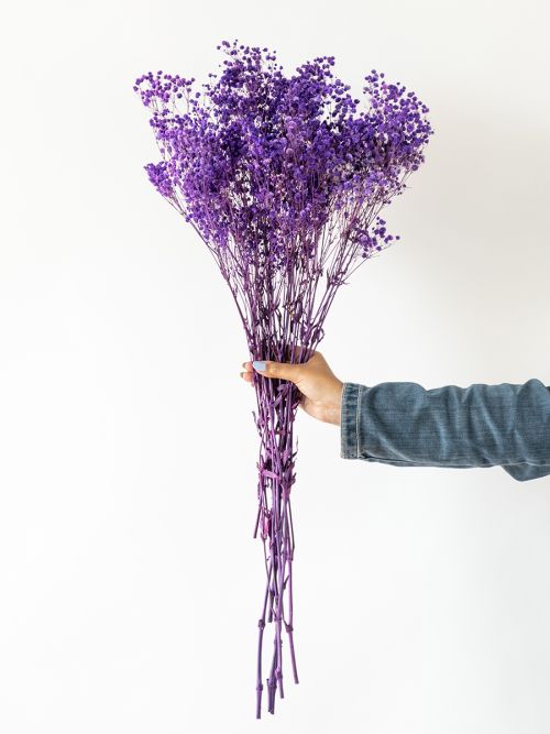 Lavender Flowers Air Dried Premium Blue Fragrant (90+ stems) -  Save-On-Crafts