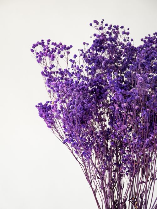 Buy Dried Flowers Lavender Flower Online India, Home Decor Products