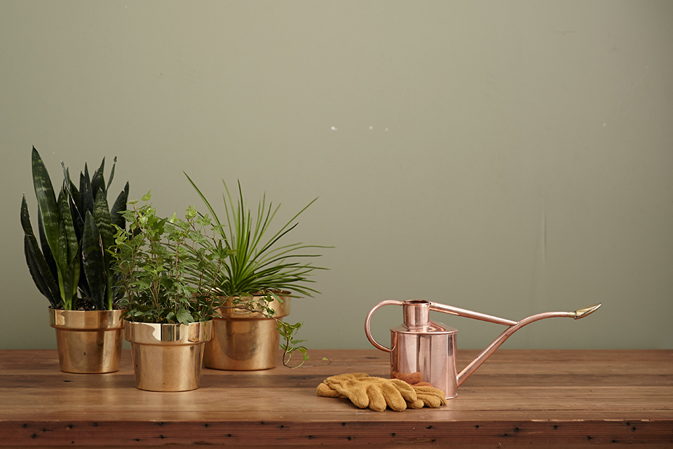 Quirky Ideas To Decorate Your Home Using Plants & Botanicals