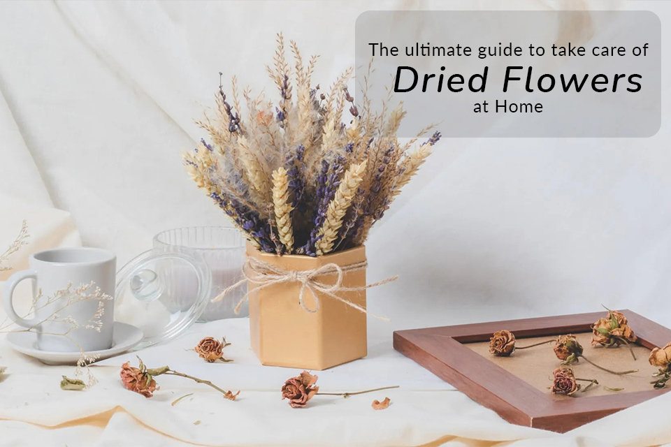 How to Dry Flowers and Plants: The Ultimate Guide