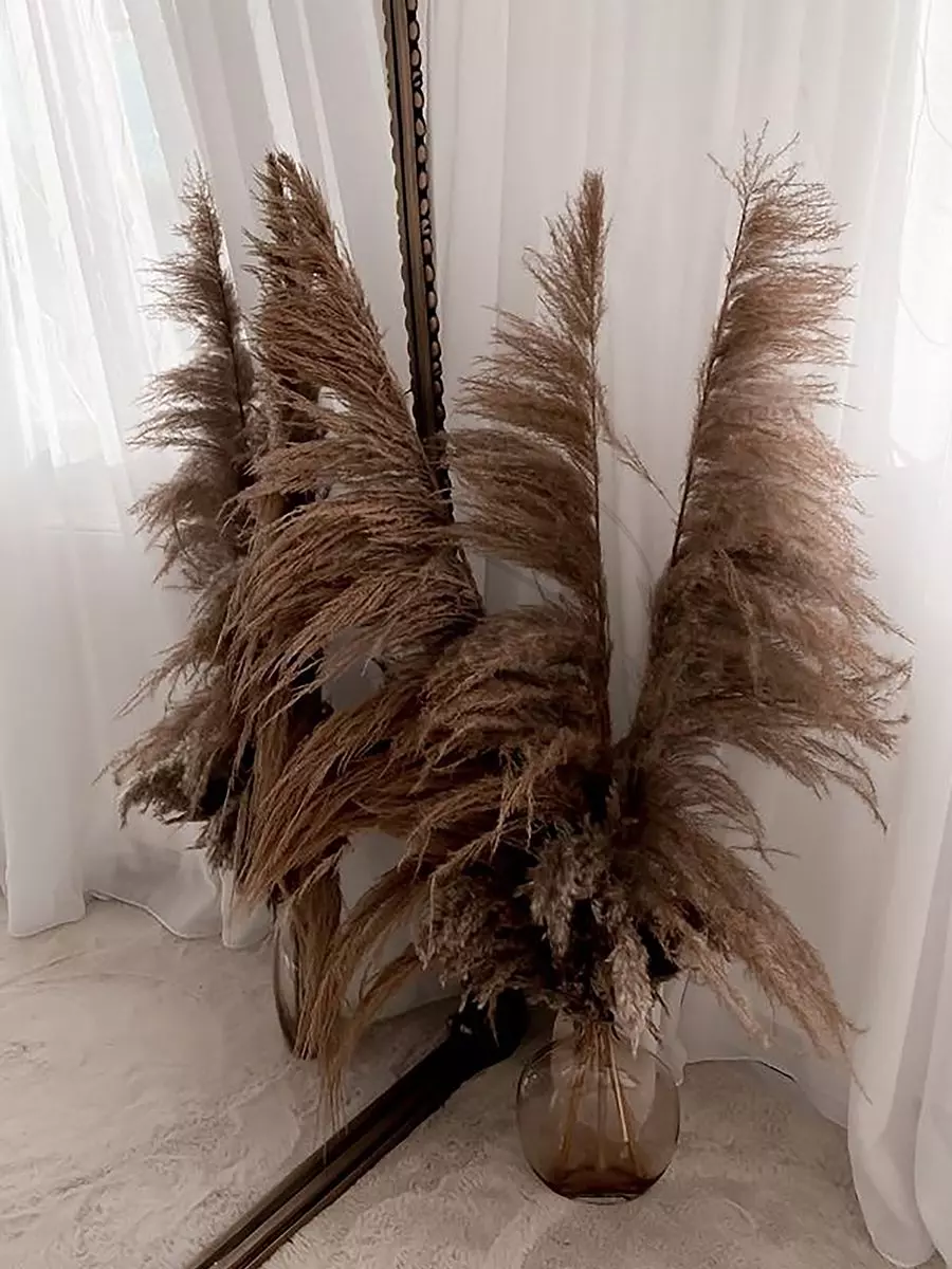  Feathers For Vase