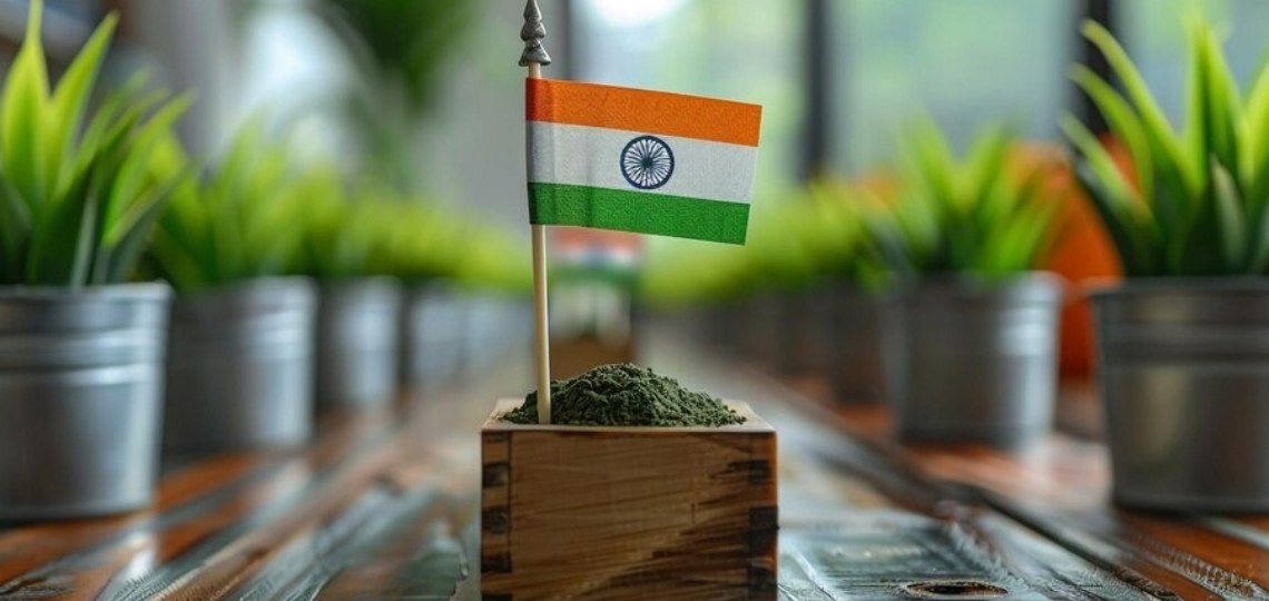 Independence day decoration ideas