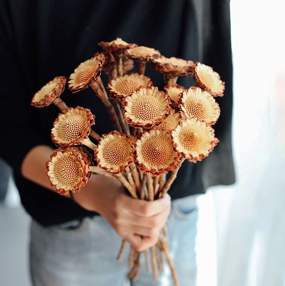 Dried Flowers: Everlasting Botanical Beauty