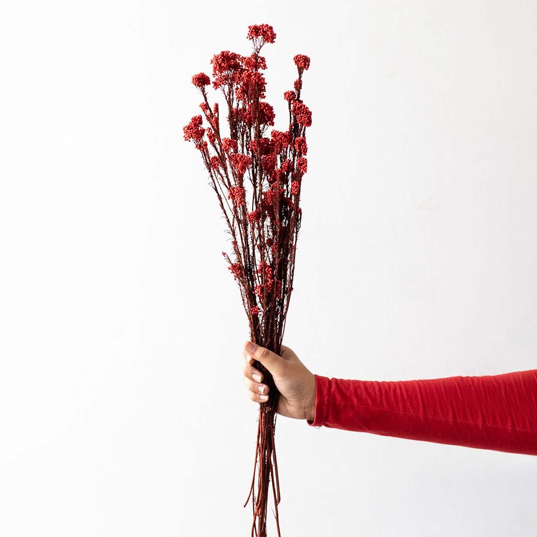 Dried Flower Arrangements for Lasting Color