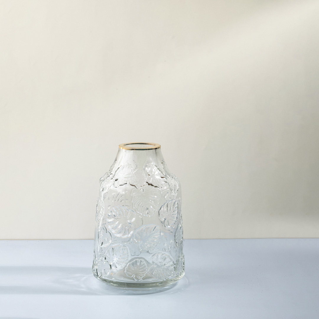 selia_modern_crystal_clear_glass_vase_-_large_main