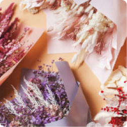 Why_Choose_dried_flowers