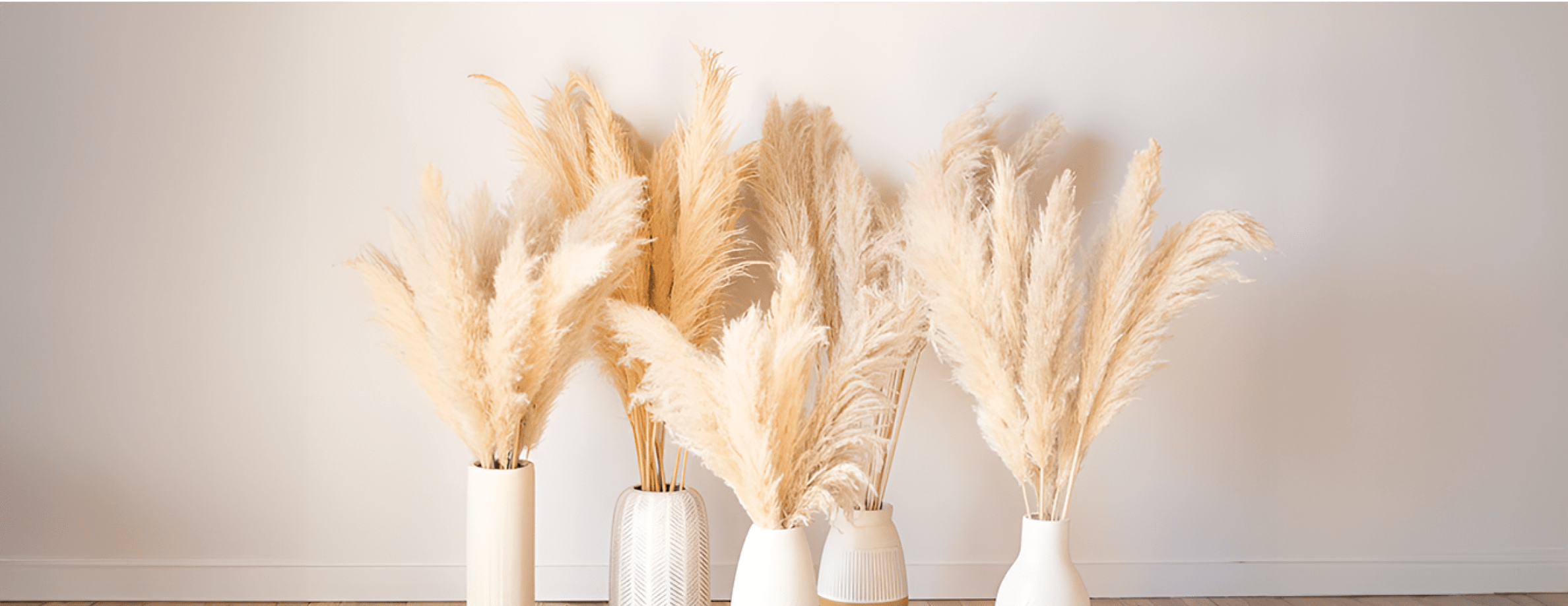 How_to_care_for_pampas_grass