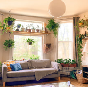 Let_s_Create_A_Beautiful_Indoor_Garden_For_You