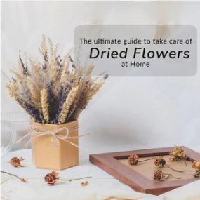 The_Ultimate_Guide_To_Take_Care_Of_Dried_Flowers_At_Home