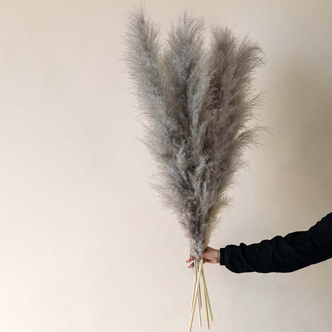 Large Pampas Grass - Light Grey