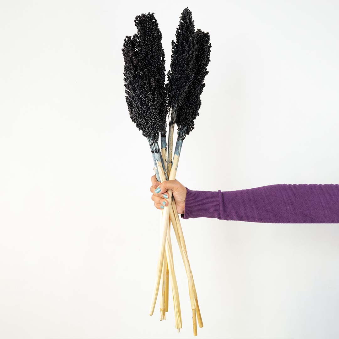 dry grass vases black